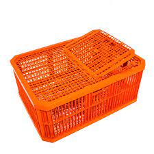 Hoenderhok/krat vat tot 12 voëls - Oranje