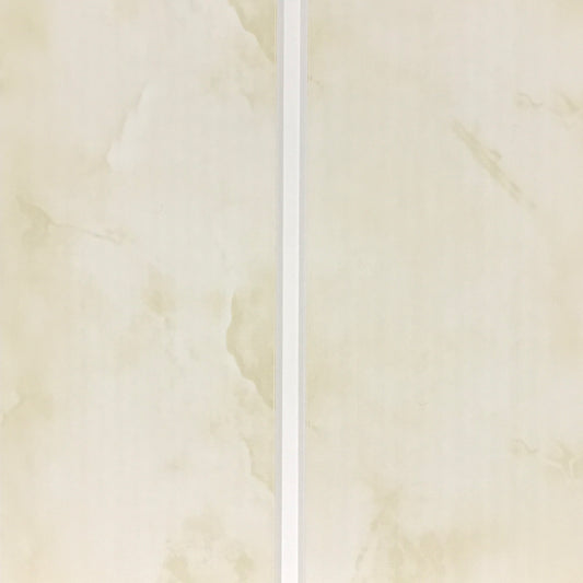 PVC CEILING 4.7M X 0.25M [25C25] GLOSS 10 XBOX MOQ Apllies
